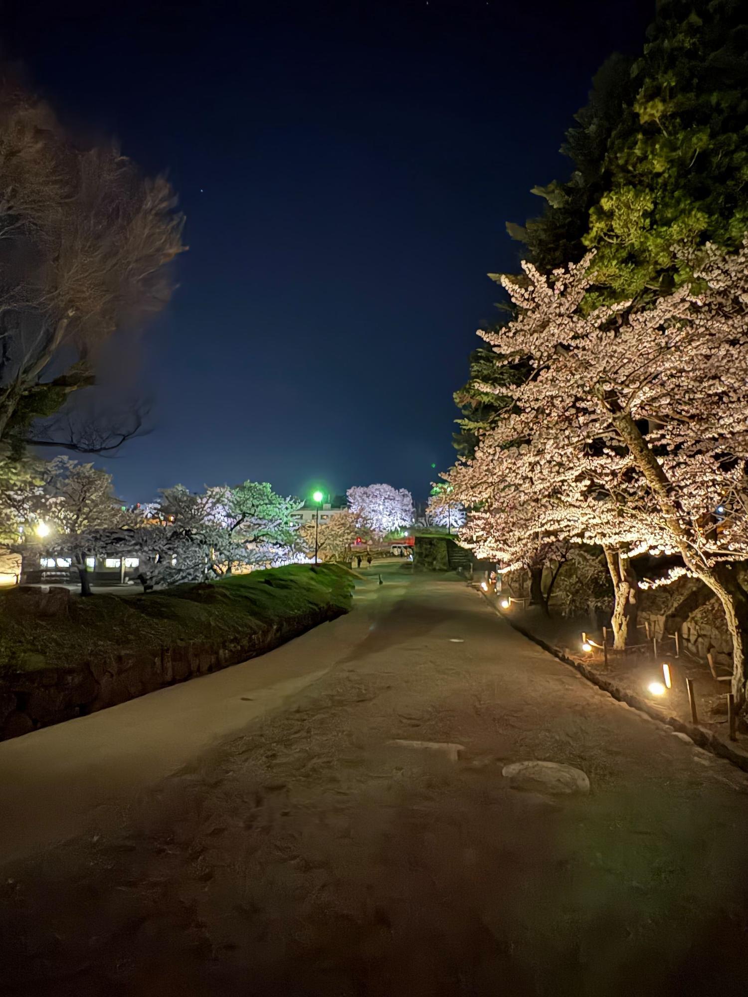 鶴ヶ城(若松城)夜桜見物 帰り道 梅坂