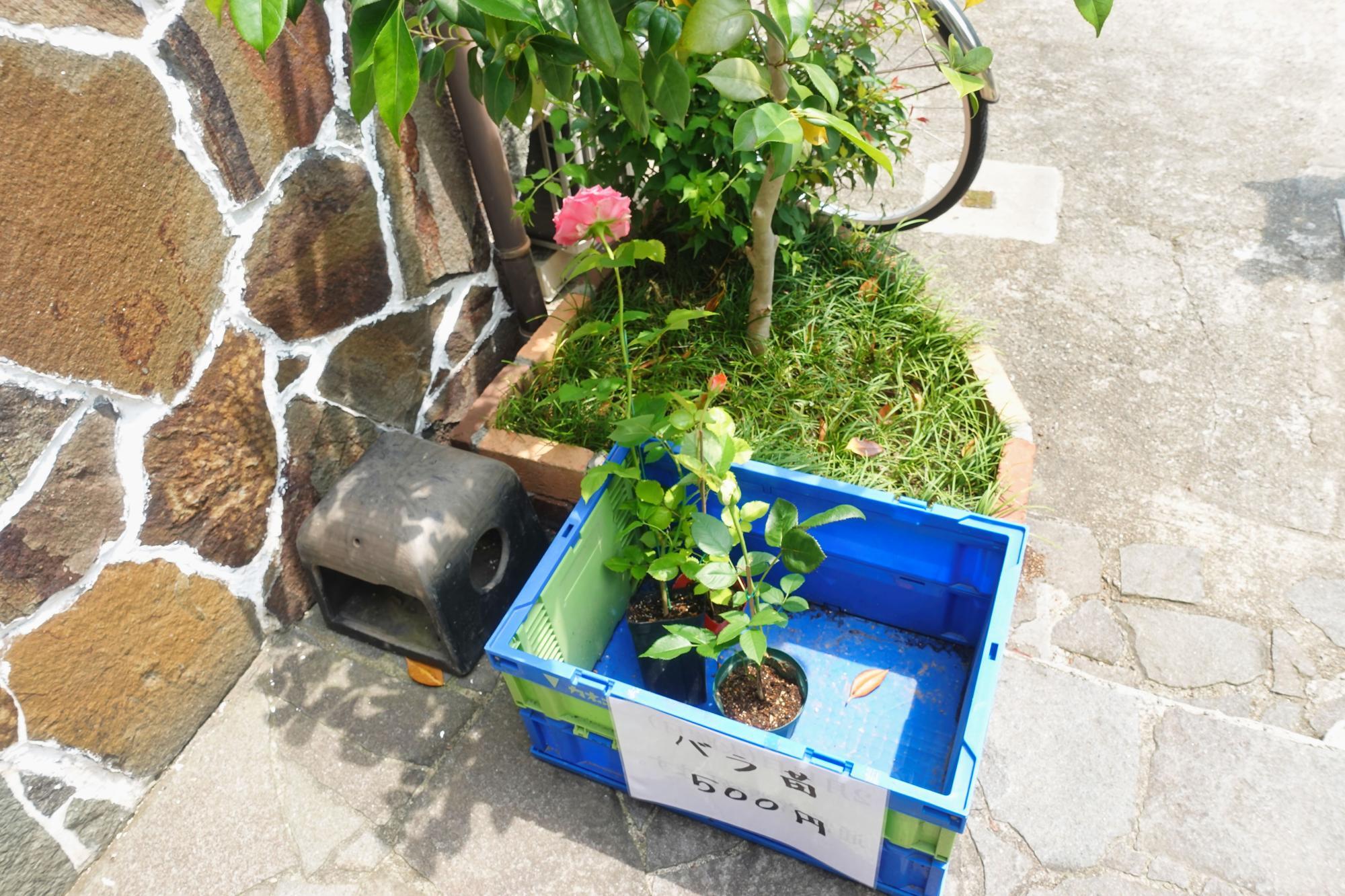 Antique Cafe 穂都璃/ほとり