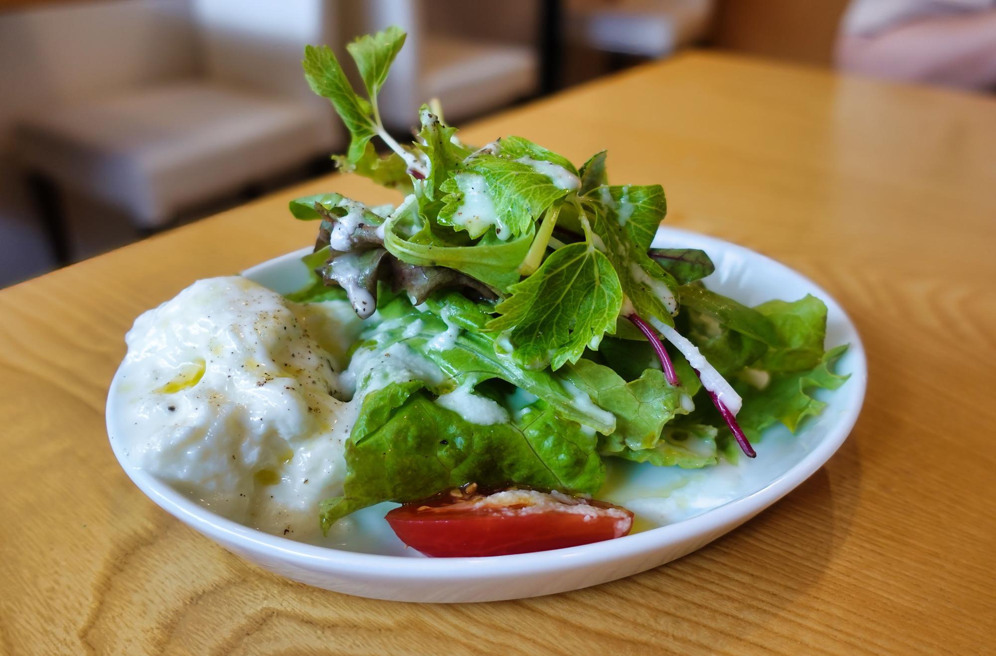 イルカパンナビアンコ モッツアレラチーズのミニサラダ