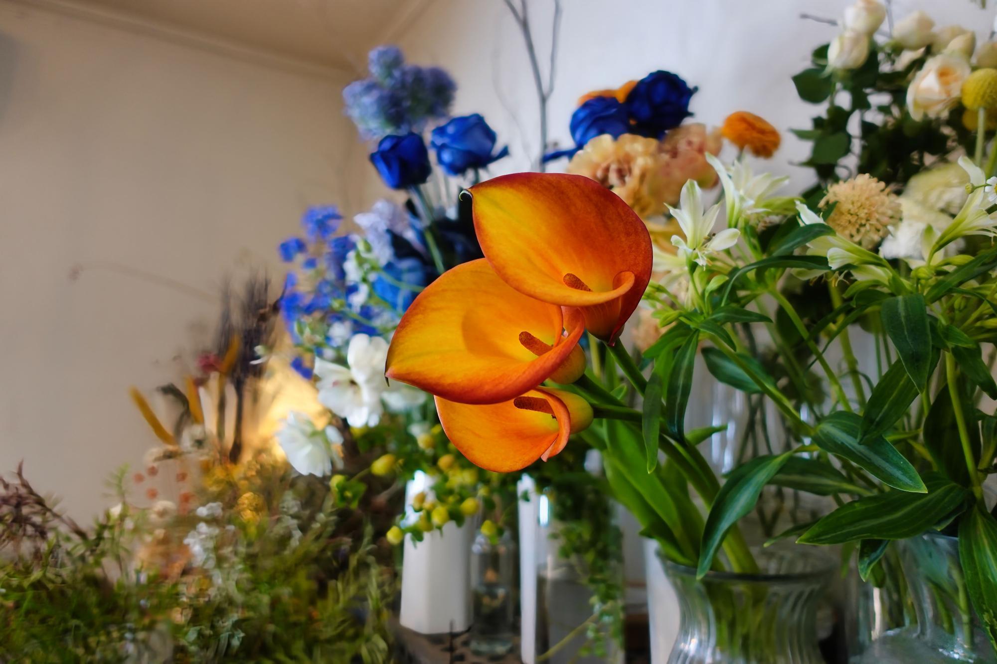 F&A APARTMENT 店内