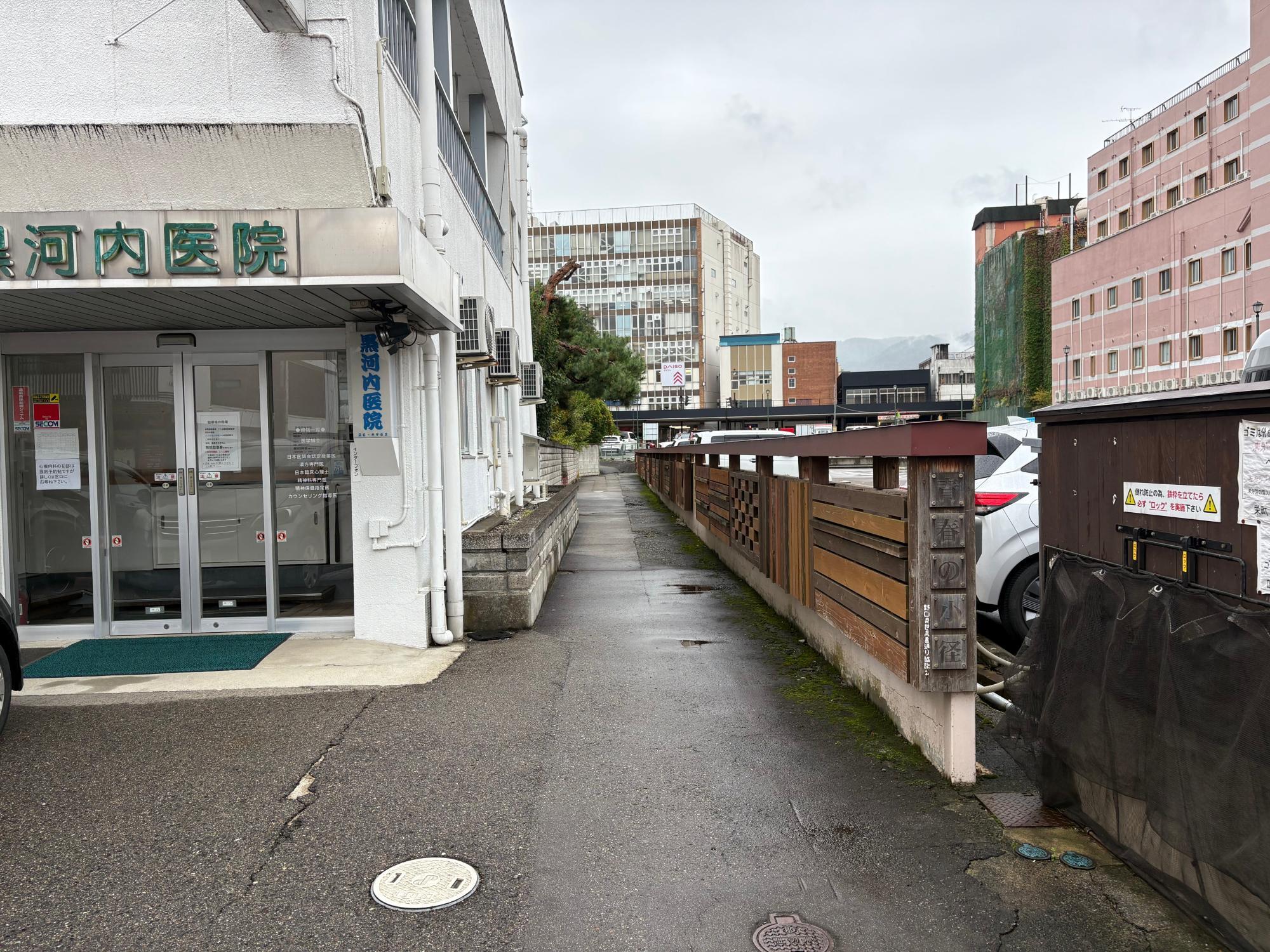 野口英世青春通り 青春の小径