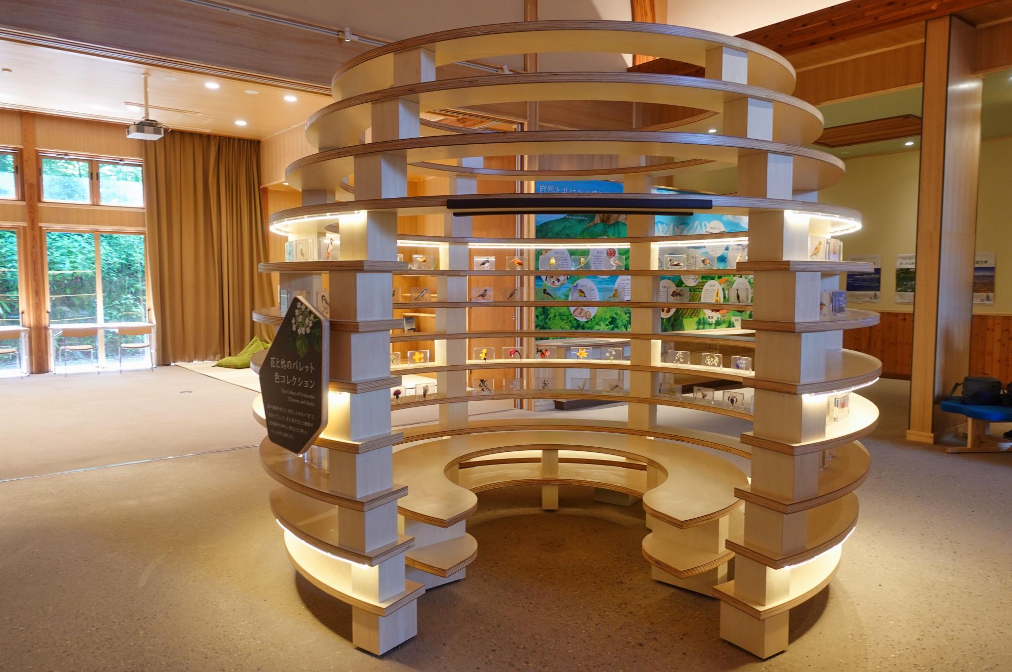 裏磐梯ビジターセンター 展示