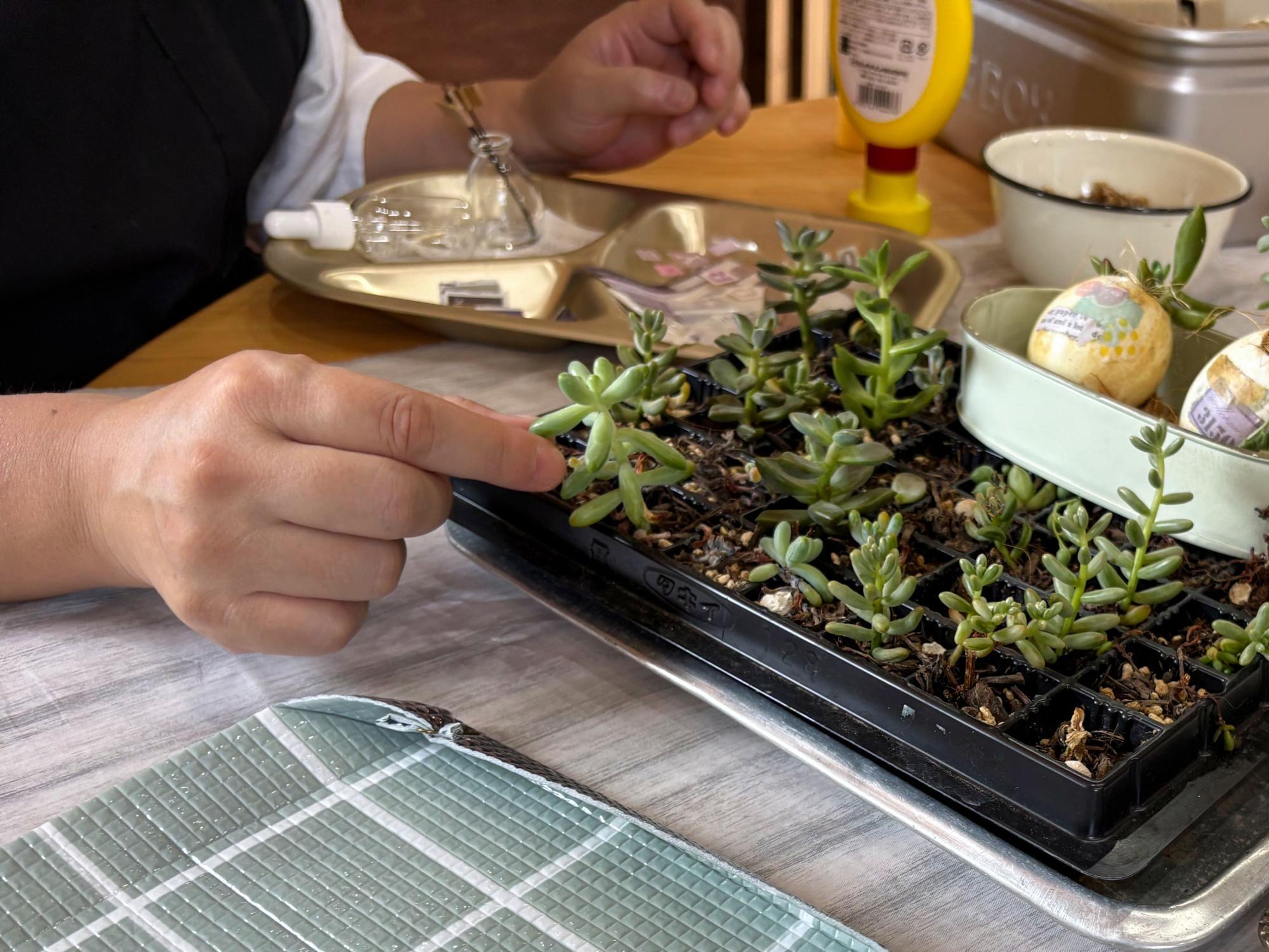 I'S NEWBASE(アイヅニューベース)  ワークショップ