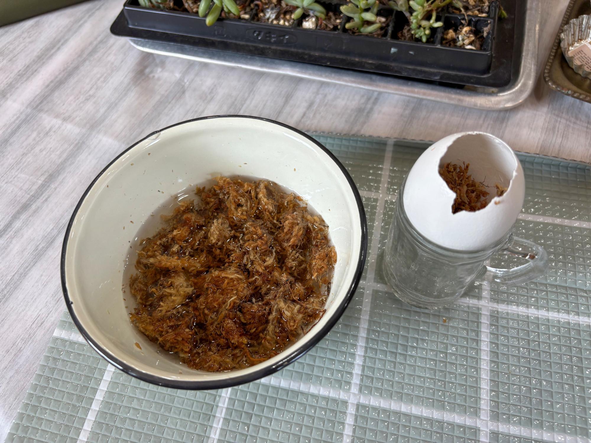 I'S NEWBASE(アイヅニューベース)  ワークショップ