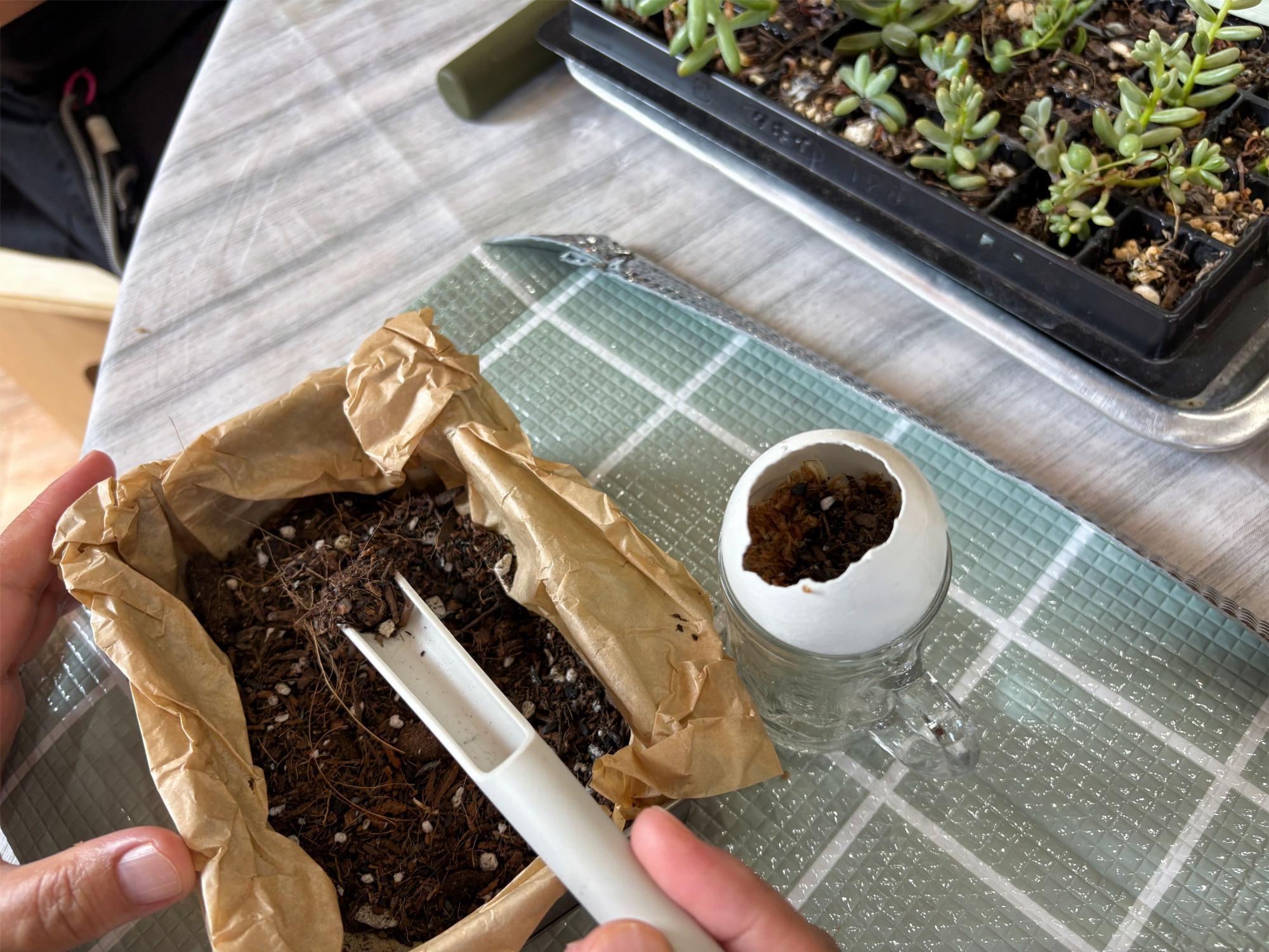 I'S NEWBASE(アイヅニューベース)  ワークショップ