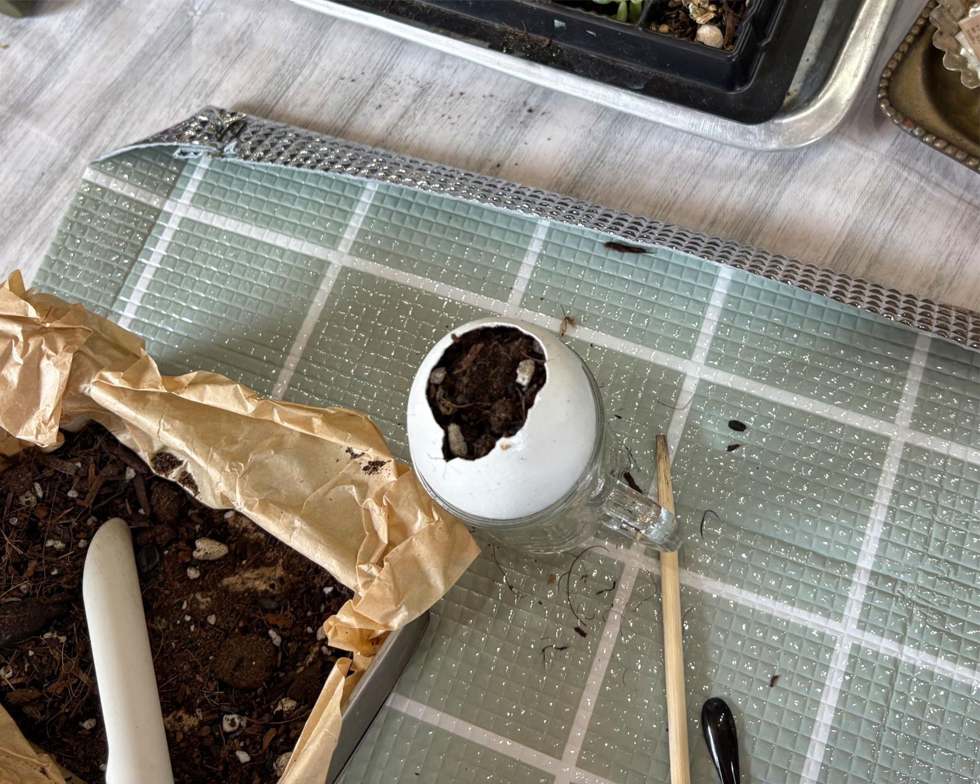 I'S NEWBASE(アイヅニューベース)  ワークショップ