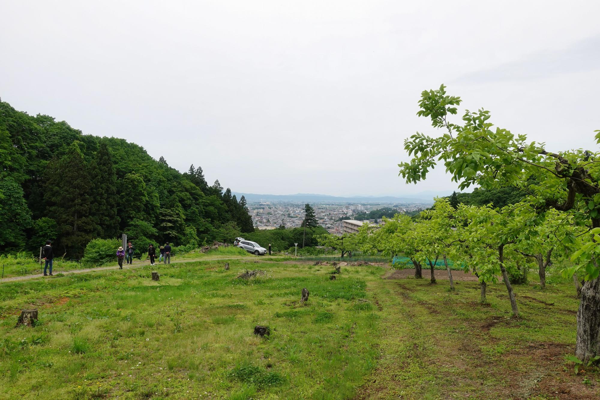 和合亮一さんと歩く「おとなの遠足」第2回 青木山の自然