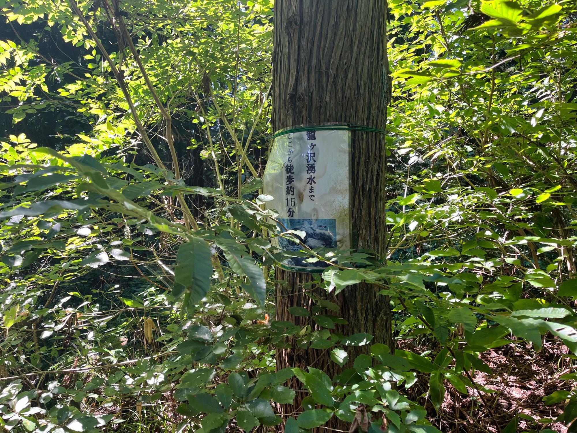 龍ヶ沢湧水ルート ここより徒歩15分