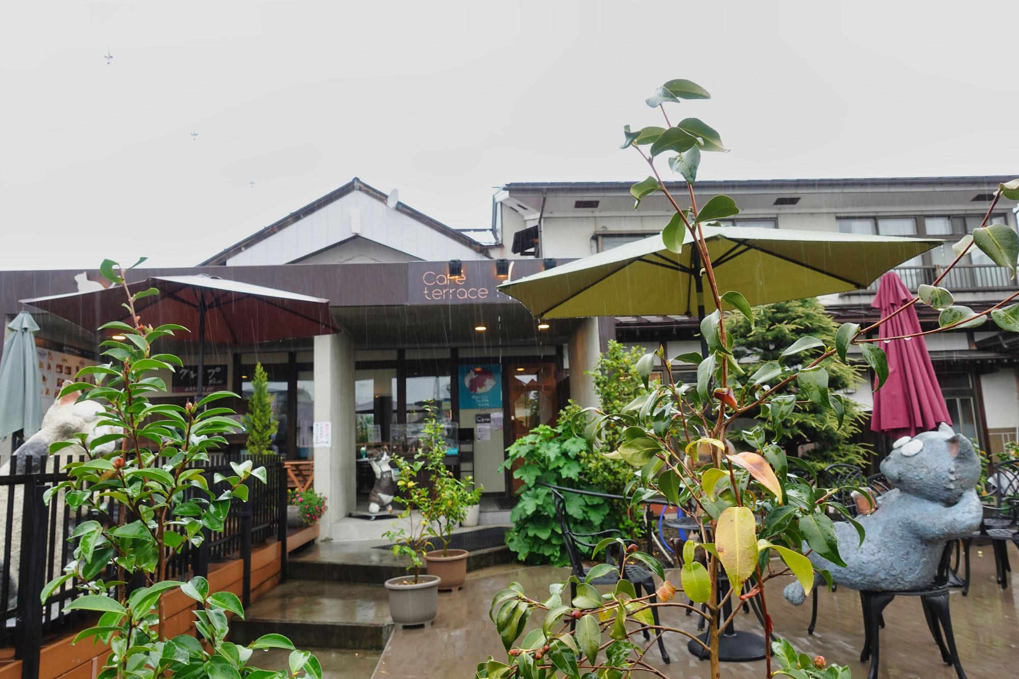 カフェ テラス わさび