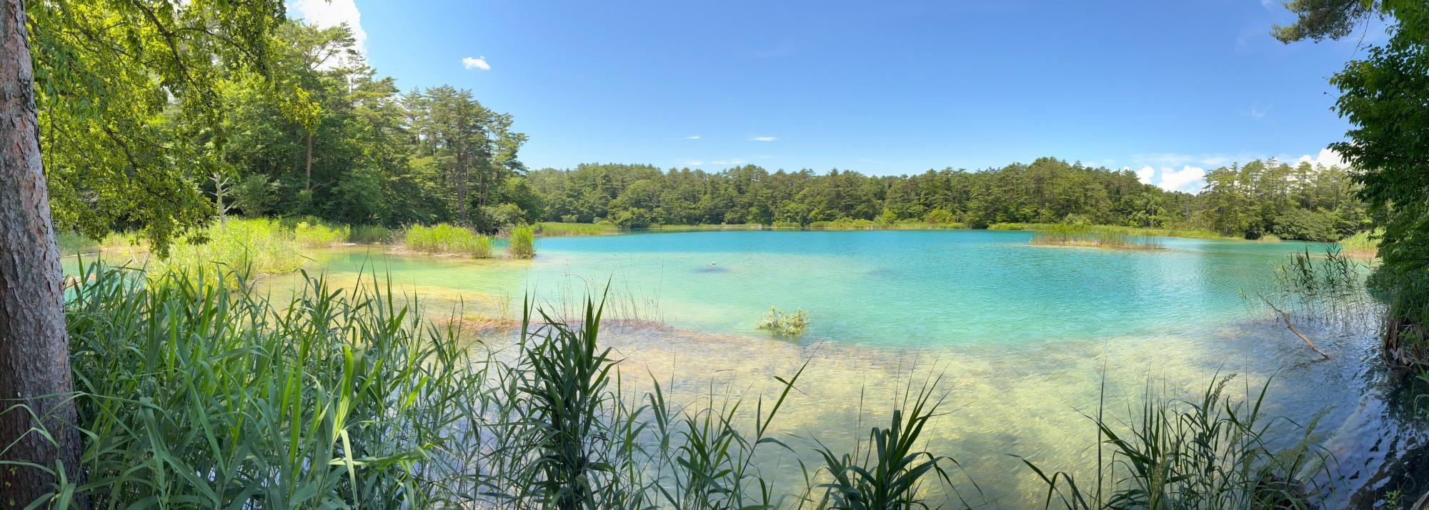 五色沼自然探勝路 弁天沼