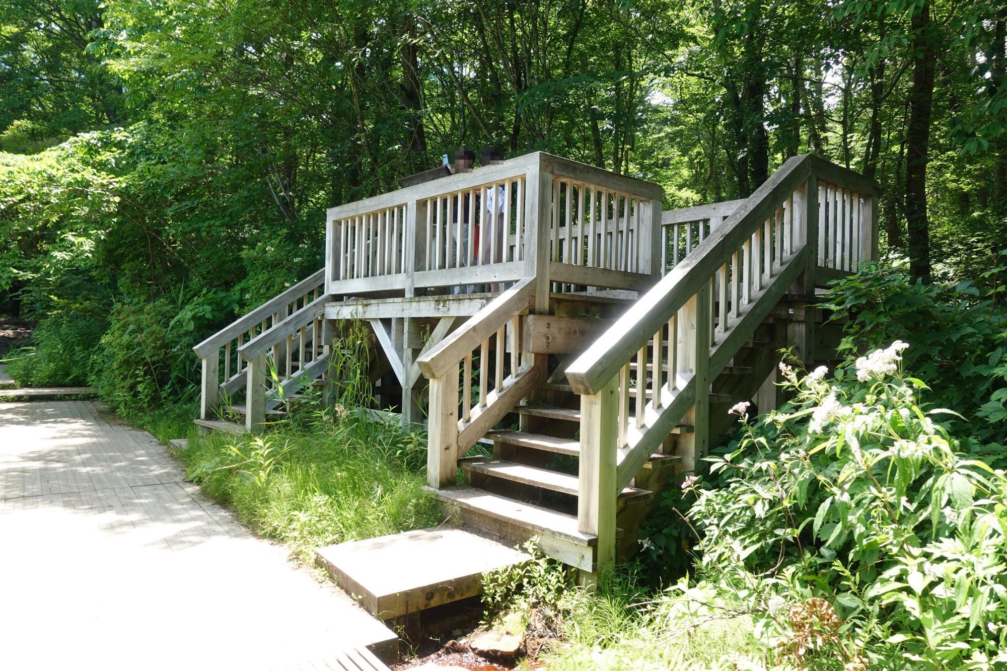 五色沼自然探勝路 弁天沼 展望台