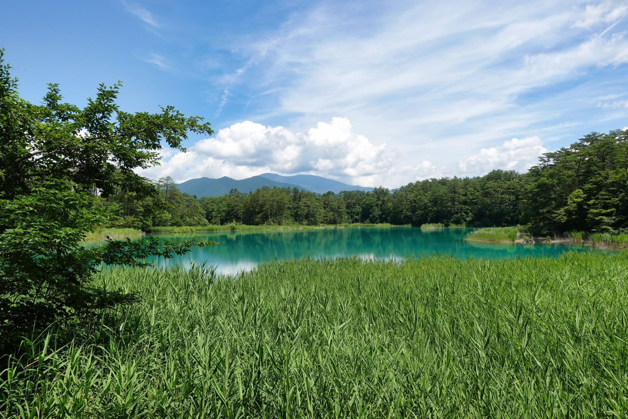 五色沼自然探勝路 弁天沼 展望台からの眺望