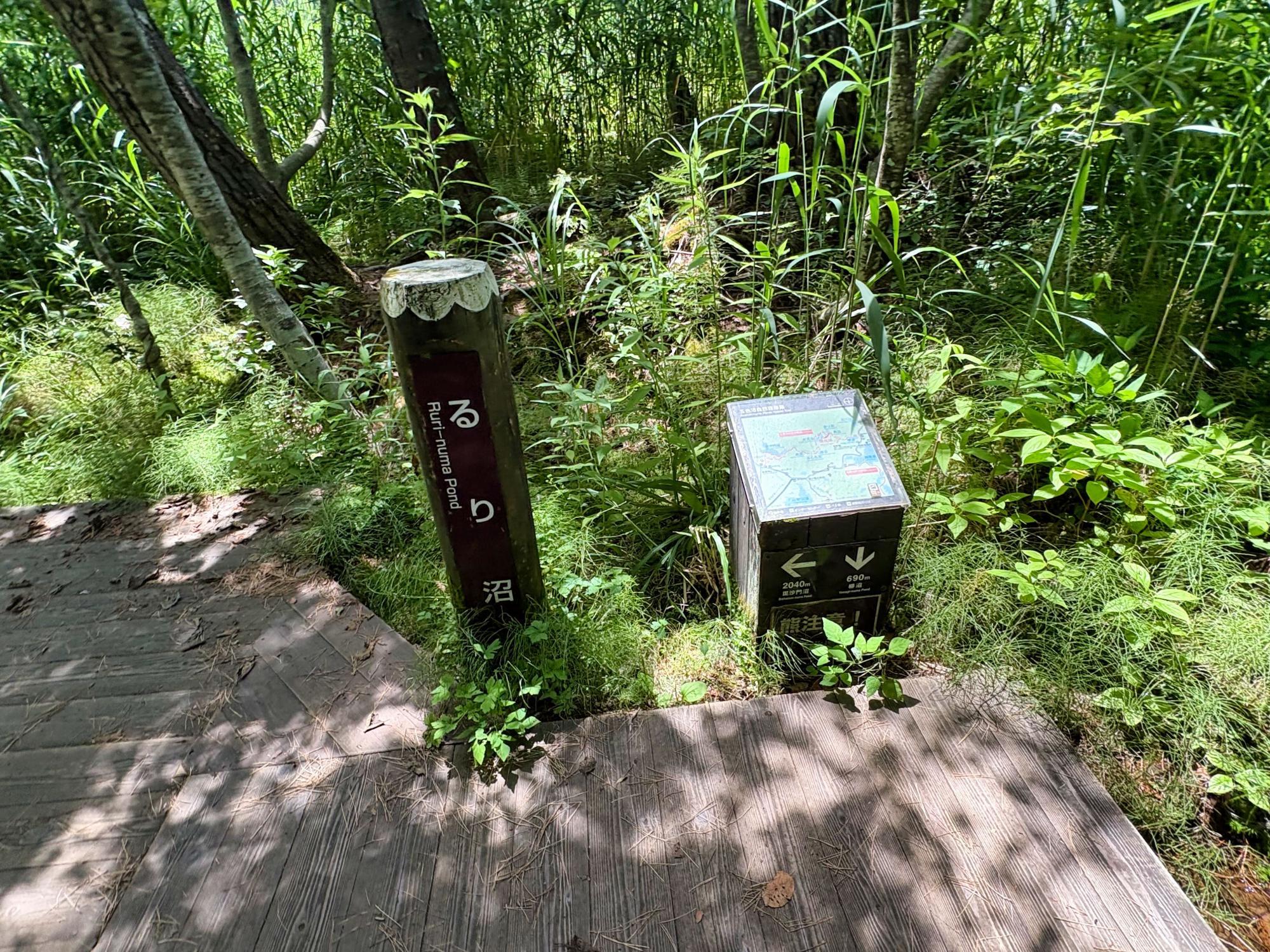 五色沼自然探勝路 るり沼