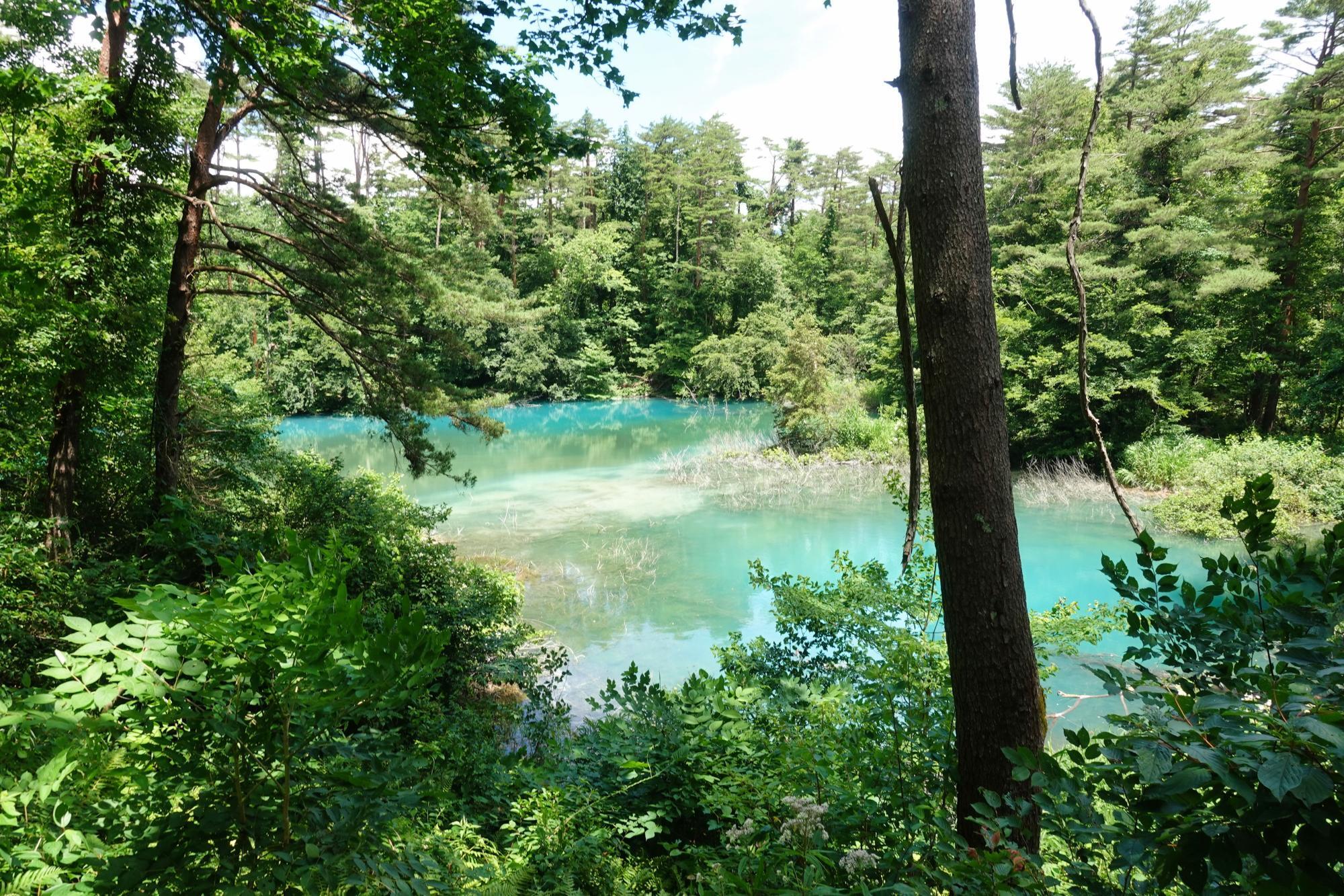 五色沼自然探勝路 るり沼