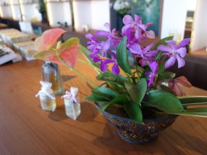 松本養蜂総本場 | Boutique del miele