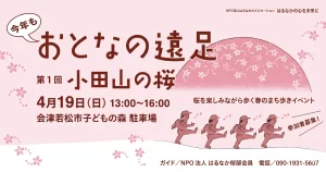 おとなの遠足 第1回 小田山の桜 01｜イベント｜2026-04-20