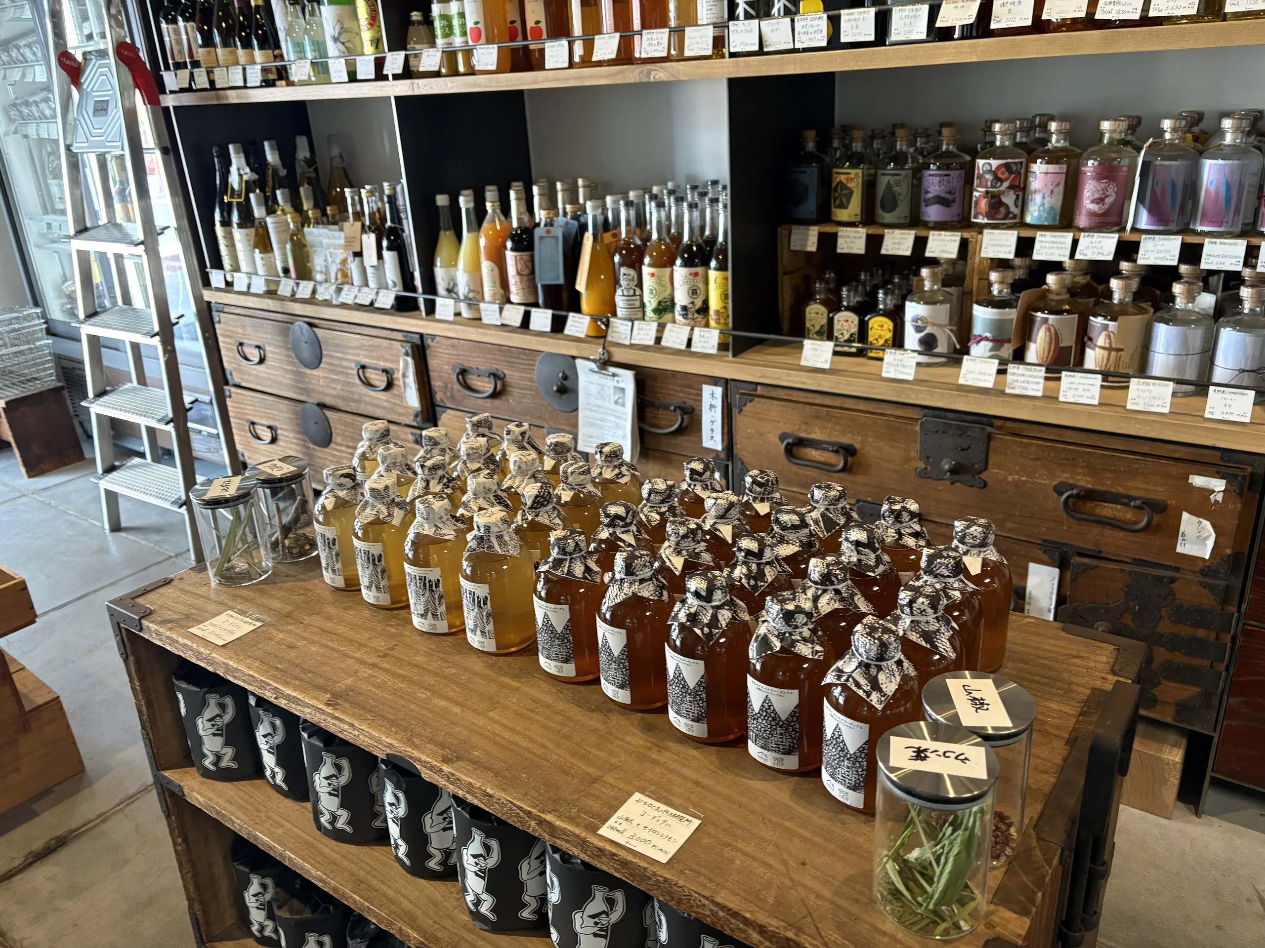 港屋漢方堂薬局×スパイス研究所 01｜写真｜2026-03-19